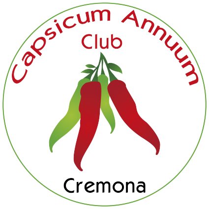 capsicum
